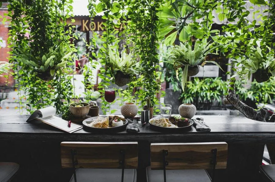 decoracion-de-restaurantes-plantas-colgantes