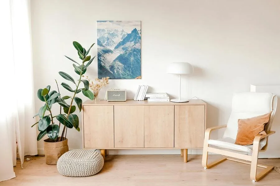 decoracion-de-salones-aparador-sillon-planta